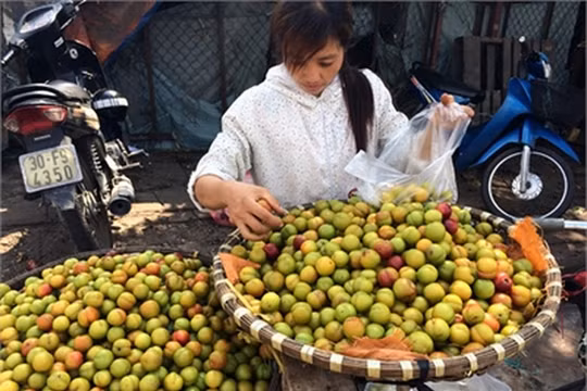 Sau mùa mận tam hoa của Việt Nam, mận cơm đường Trung Quốc phủ sóng tại các chợ Việt Nam