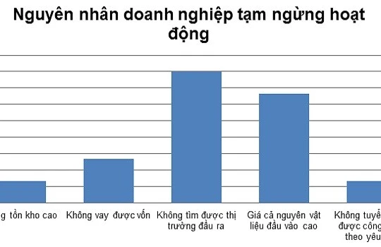 Nguyên nhân dẫn đến việc tạm ngừng hoạt động của doanh nghiệp (kết quả khảo sát VBIS-VCCI)