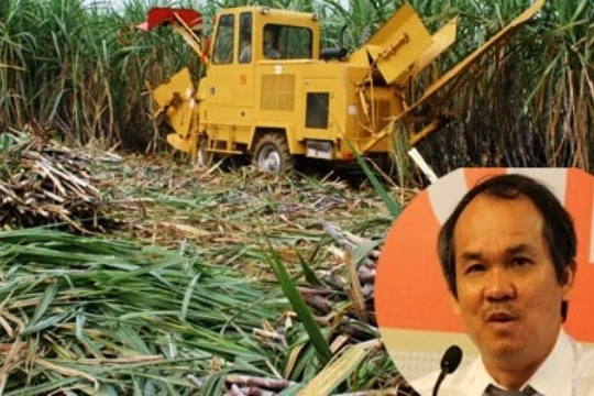 Đường của bầu Đức nhập từ Lào về Việt Nam sẽ được miễn thuế