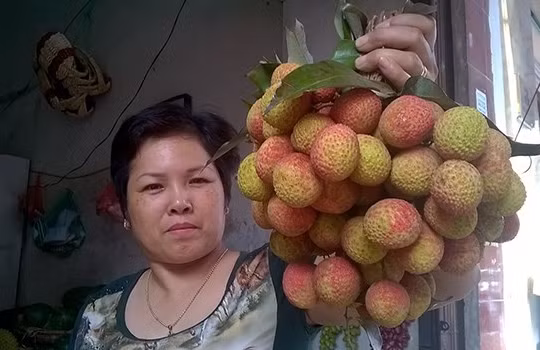 Vải thiều đầu mùa “hét” giá 90.000 đồng/kg