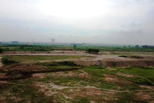 UBND TP Hà Nội đã yêu cầu UBND phường Long Biên (Long Biên, Hà Nội) dừng ngay việc san lấp mặt bằng trong hành lang thoát lũ sông Hồng