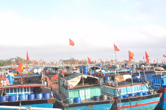 Sắp có cơ chế hỗ trợ một lần sau đầu tư cho chủ đóng mới tàu cá xa bờ.​