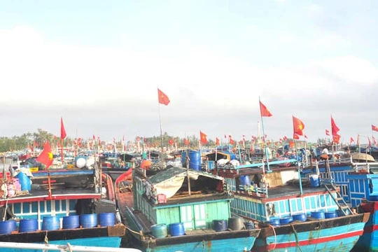 Sắp có cơ chế hỗ trợ một lần sau đầu tư cho chủ đóng mới tàu cá xa bờ.​