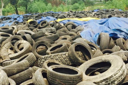 Lốp ôtô đã qua sử dụng tạm nhập nhưng không tái xuất được