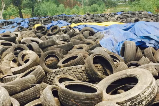 Lốp ôtô đã qua sử dụng tạm nhập nhưng không tái xuất được