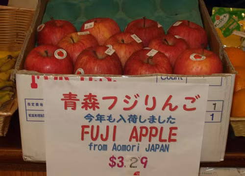 Bao bì táo Trung Quốc vi phạm luật pháp quốc tế