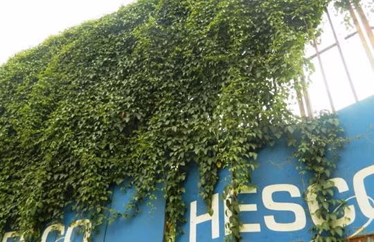 Dự án Hesco Văn Quán vang bóng một thời là đây!