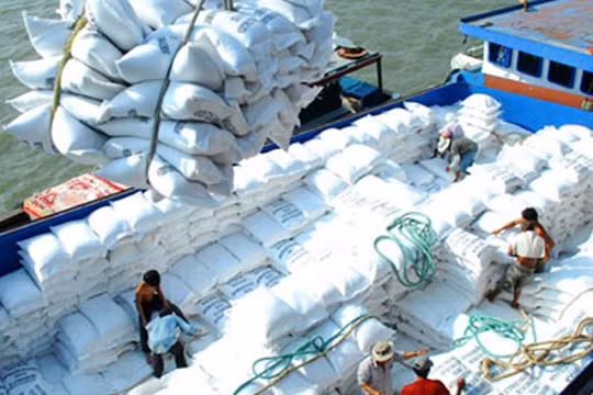 Trung Quốc vẫn là thị trường nhập khẩu gạo lớn nhất của Việt Nam