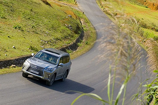 Nhập khẩu ôtô tiếp tục phục hồi