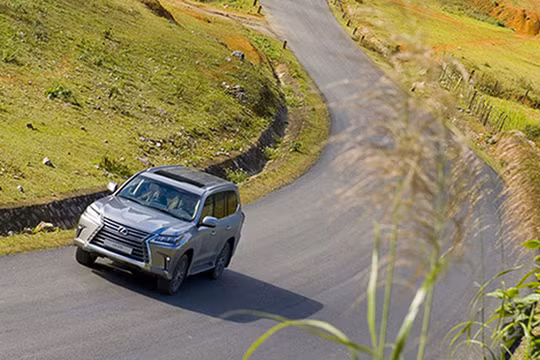 Nhập khẩu ôtô tiếp tục phục hồi