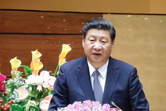 Ông Tập Cận Bình phát biểu trước Quốc hội Việt Nam. Ảnh Vnexpress