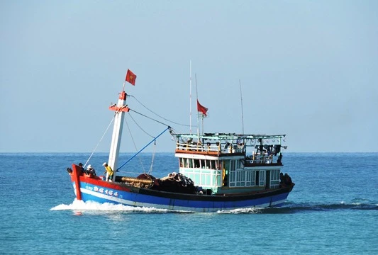 Video Hành trình đánh bắt cá tại ngư trường khơi xa