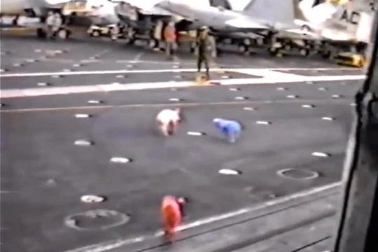 Heo chạy tán loạn trên tàu sân bay USS John F. Kennedy