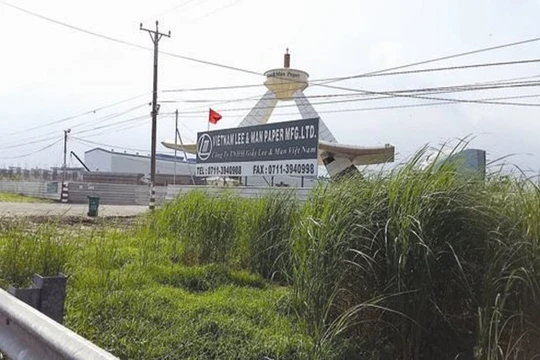 Dự án của Công ty TNHH Lee&Man tại huyện Châu Thành (Hậu Giang). Ảnh:TL