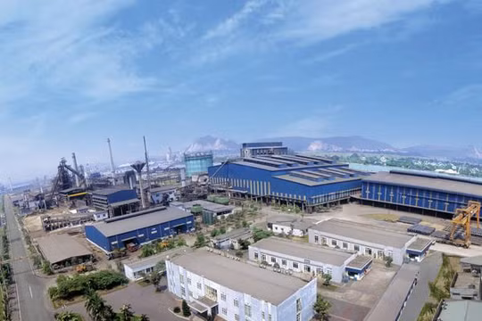 Đại gia ngành thép Hòa Phát khiến giới đầu tư lo ngại khi lấn sân sang lĩnh vực thức ăn chăn nuôi