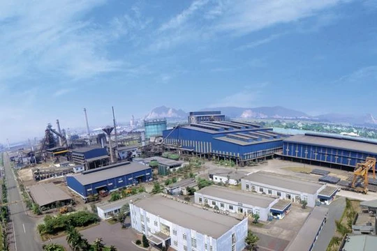 Đại gia ngành thép Hòa Phát khiến giới đầu tư lo ngại khi lấn sân sang lĩnh vực thức ăn chăn nuôi