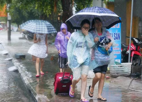 Trên đường phố, thỉnh thoảng lại có đoàn du khách đội mưa đi tìm quán ăn. 