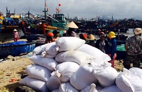 Số gạo "cướp" được trên tàu Hải Trường