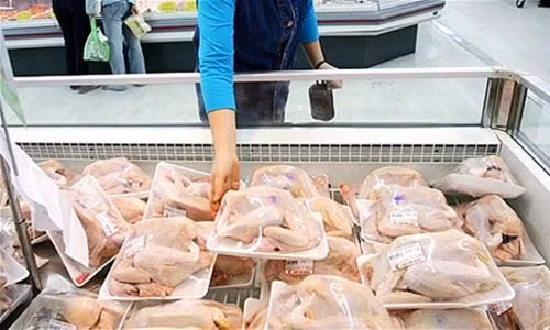 Gà từ 24 quốc gia đang ‘tấn công’ gà Việt Nam