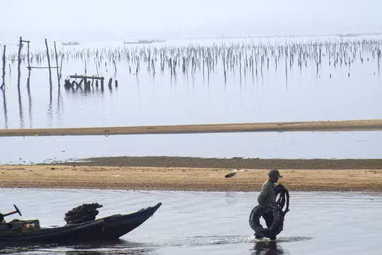 Nghề nuôi hàu trên đầm Lăng Cô là nguồn sống của hàng trăm hộ gia đìnhẢnh: Đình Toàn
