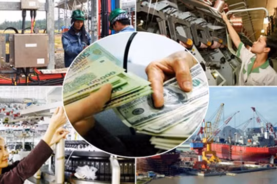 Quá trình tái cơ cấu: Nhà nước đang thực hiện sai lệch nhiều chức năng