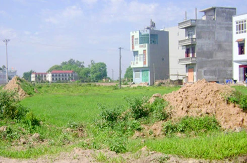 Ngườii dân làm hồ sơ trong vòng 14 ngày được cấp sổ đỏ (Ảnh minh họa: KT)