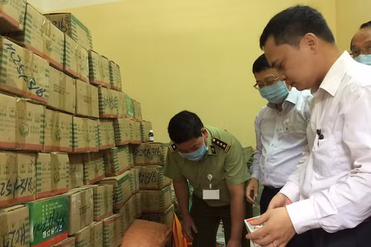 Hình minh họa. Nguồn: VGP