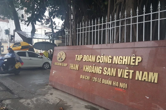 Ảnh minh họa