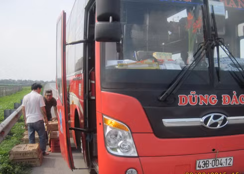 Xe dừng đỗ lấy hàng trên cao tốc Nội Bài - Lào Cai. Ảnh: Phương Linh