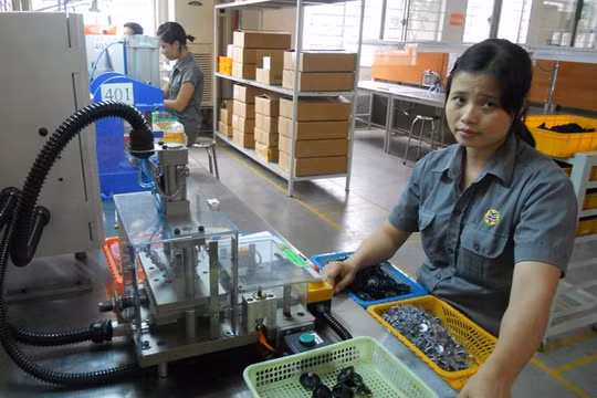 TPHCM dự kiến năm 2016 thu ngân sách đạt 298.300 tỉ đồng - Ảnh: Văn Nam