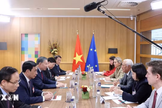 Việt Nam - EU mở rộng hợp tác từ hạ tầng đến an ninh mạng, AI