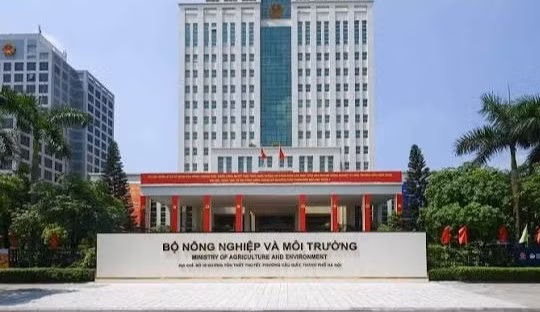 Bộ Nông nghiệp và Môi trường để xảy ra nhiều vi phạm trong cấp phép khoáng sản