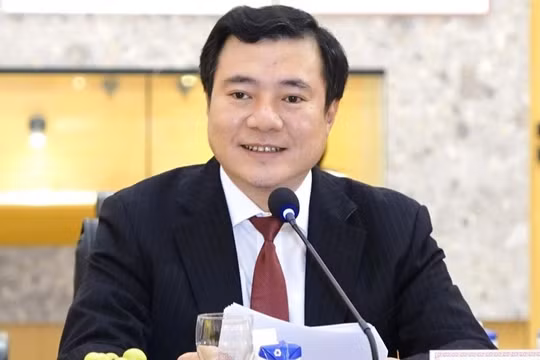 Ông Nguyễn Sinh Nhật Tân. Ảnh: VGP.