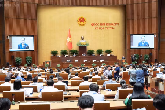 Đề xuất nâng tiền đặt trước đấu giá đất lên 50% giá khởi điểm