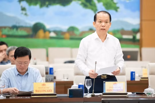 Đề xuất cấm người bỏ cọc tham gia đấu giá đất