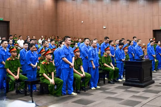 Cựu Viện trưởng Pháp y tâm thần Trung ương bị đề nghị 20 năm tù 