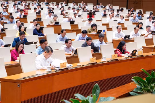 Đề xuất bỏ quy hoạch sử dụng đất, mỗi thửa đất có mã định danh riêng