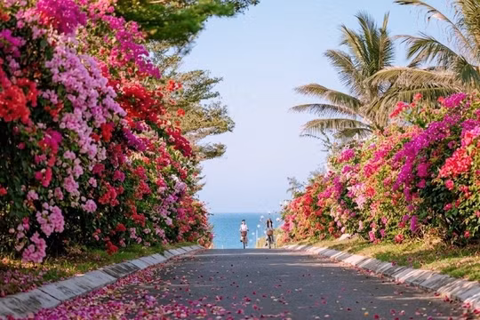 Quy Nhơn hút khách với Lễ hội ngàn hoa ngay sau Đại nhạc hội pháo hoa