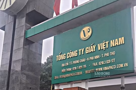 Thanh tra Chính phủ chỉ ra loạt vi phạm tại Tổng công ty Giấy Việt Nam, Tập đoàn Tân Mai