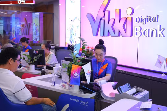 Kết luận của Thanh tra NHNN về Vikki Bank có gì đặc biệt?