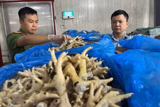 Nữ giám đốc lén lút tuồn hơn 10.000 tấn chân gà nhập khẩu ra thị trường