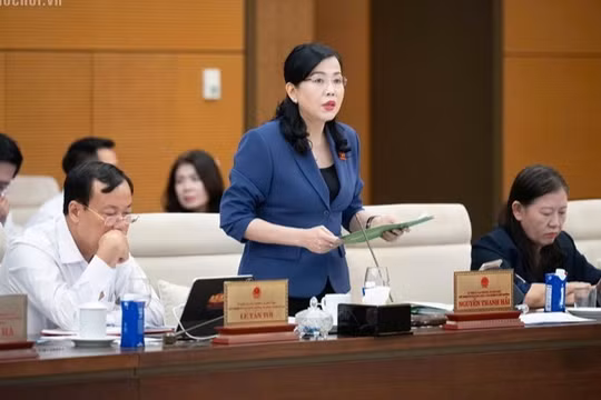Chủ nhiệm Ủy ban Khoa học, Công nghệ và Môi trường Nguyễn Thanh Hải trình bày Báo cáo tóm tắt Thẩm tra sơ bộ dự án Luật sửa đổi, bổ sung một số điều của Luật Điện lực. Ảnh: Quốc hội.