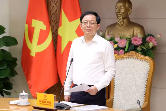 Sửa Luật Đất đai: Nghiên cứu luật hóa nguyên tắc thuế chống đầu cơ, xử lý đất bỏ hoang