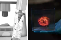 Công nghệ in sinh học 3D MagMix do MIT phát triển (trái) và Cấu trúc mạch máu được in bằng máy in sinh học 3D (phải). Ảnh: IE.