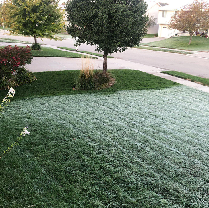 Ảnh: BrightSide Ảnh: BrightSide