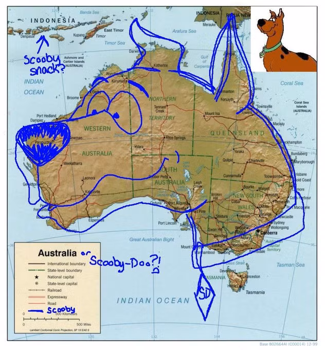 Ảnh: BrightSide Ảnh: BrightSide