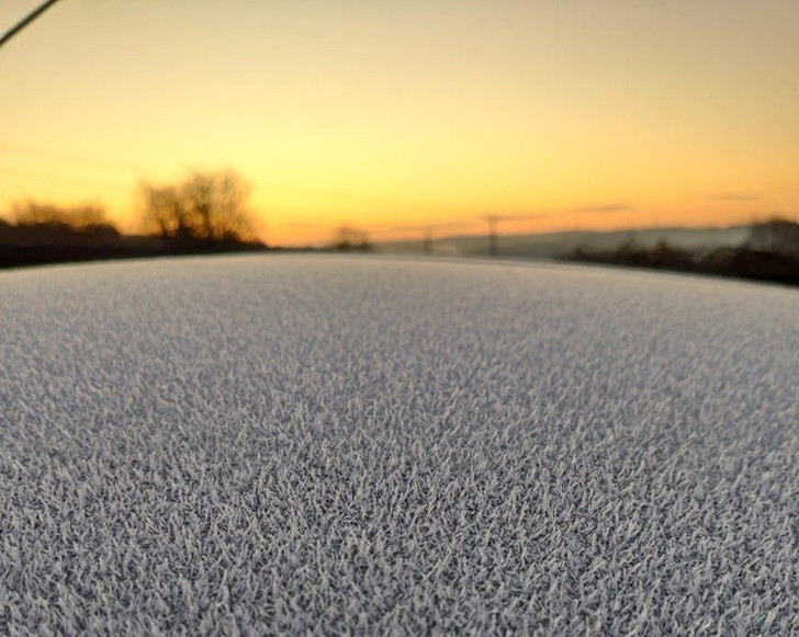 Ảnh: BrightSide Ảnh: BrightSide