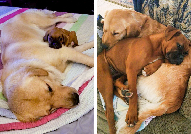 Ảnh: BrightSide Ảnh: BrightSide