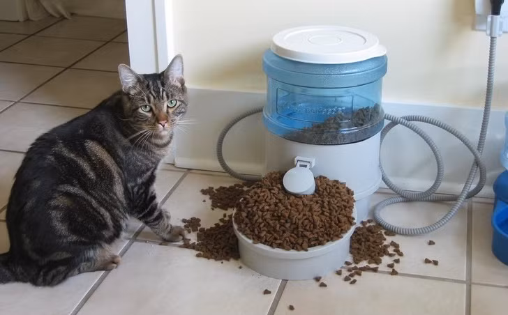 Ảnh: BrightSide Ảnh: BrightSide