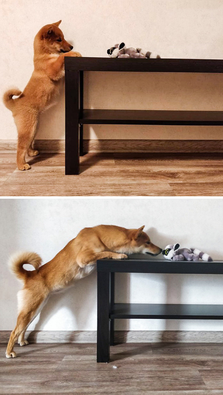 Ảnh: BrightSide Ảnh: BrightSide